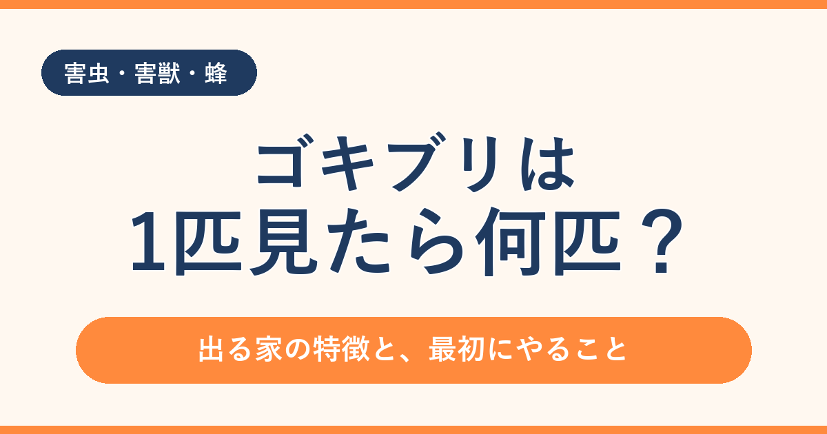 ゴキブリは1匹見たら何匹？