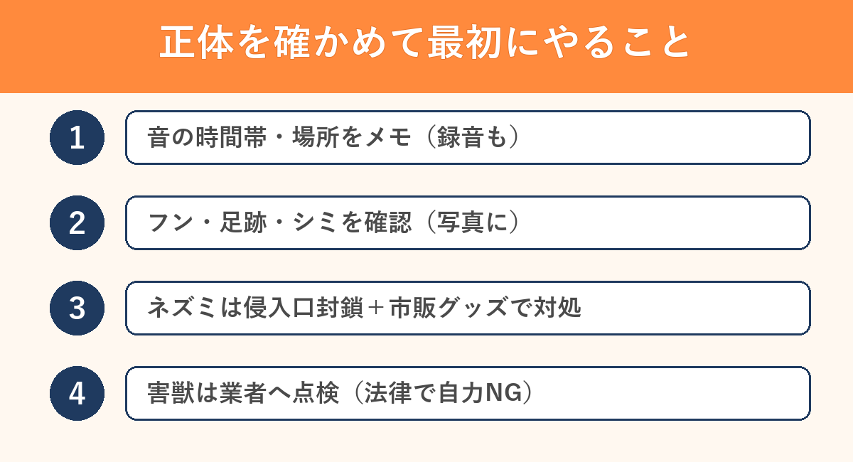 屋根裏の物音 正体を確かめて最初にやること