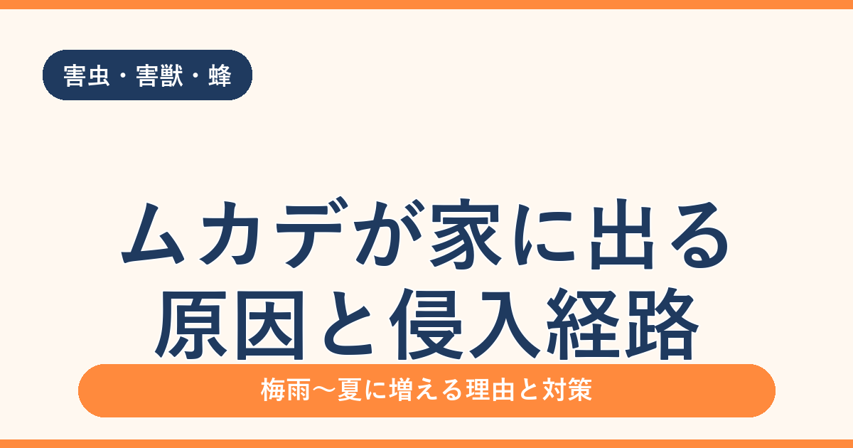 ムカデが家に出る原因と侵入経路｜入れない対策と見つけた時の対処