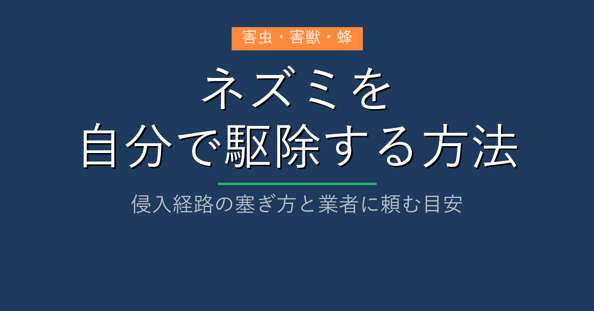 ネズミを自分で駆除する方法