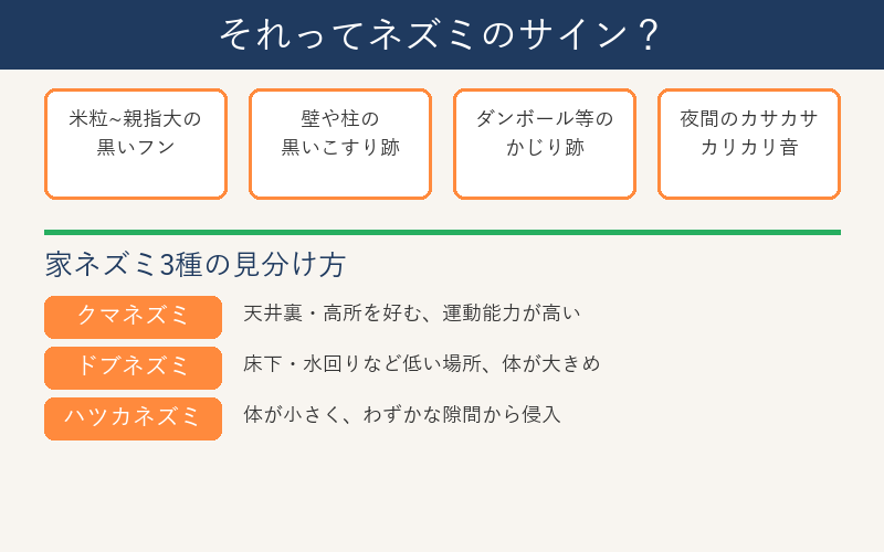 ネズミのサインと家ネズミ3種の見分け方