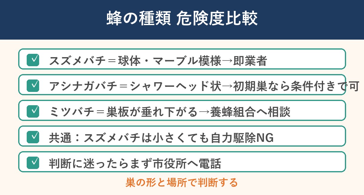 蜂の種類危険度比較