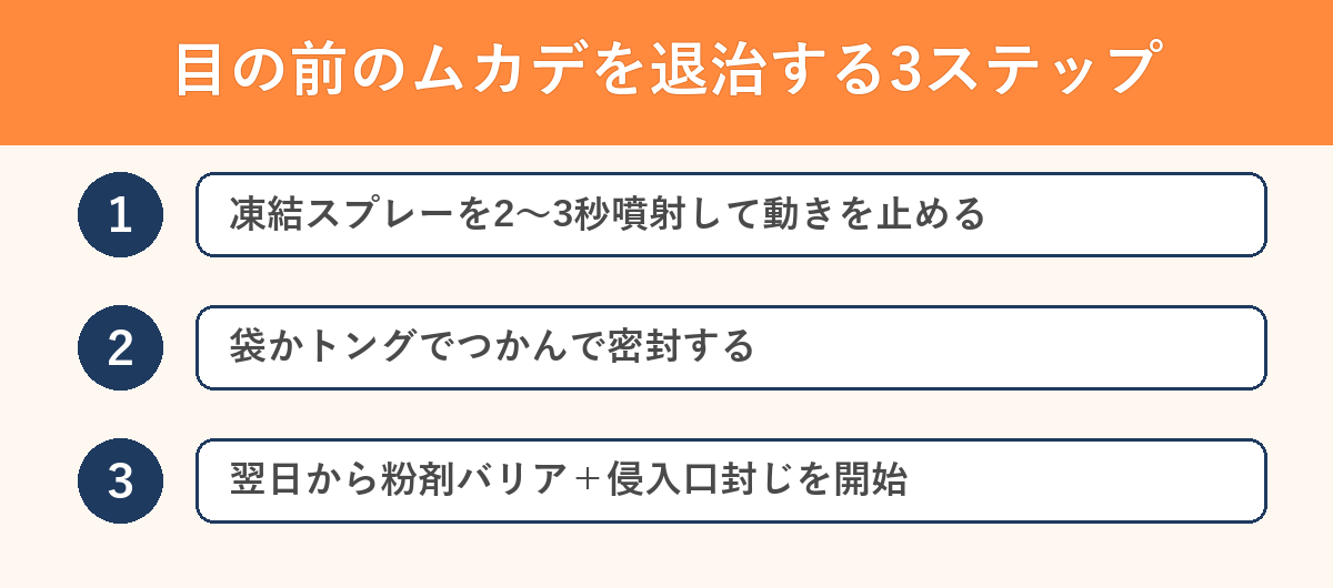 目の前のムカデを退治する3ステップ