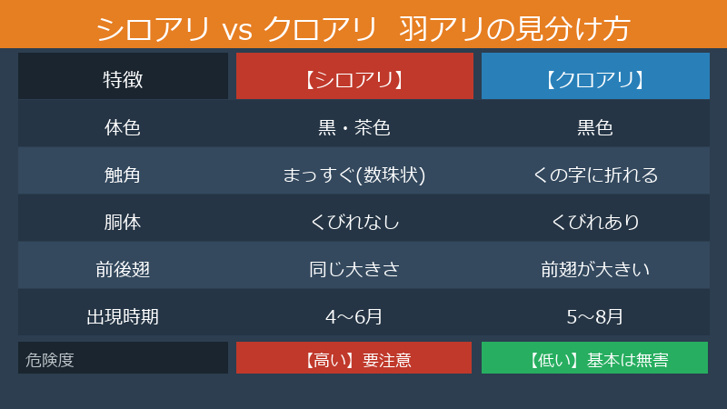 シロアリvsクロアリ羽アリ判定チェックリスト
