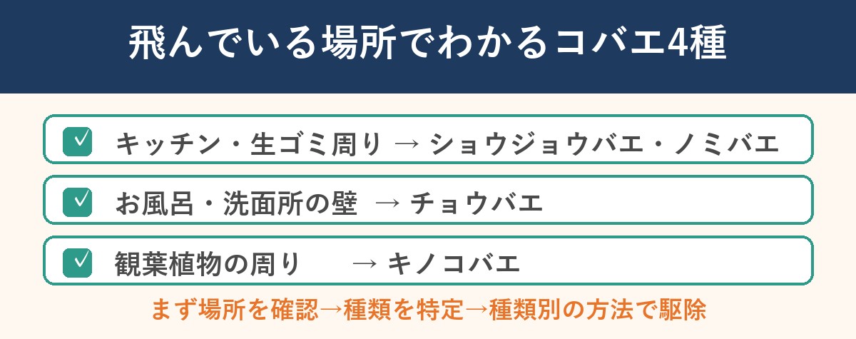 飛んでいる場所でわかるコバエ4種判定