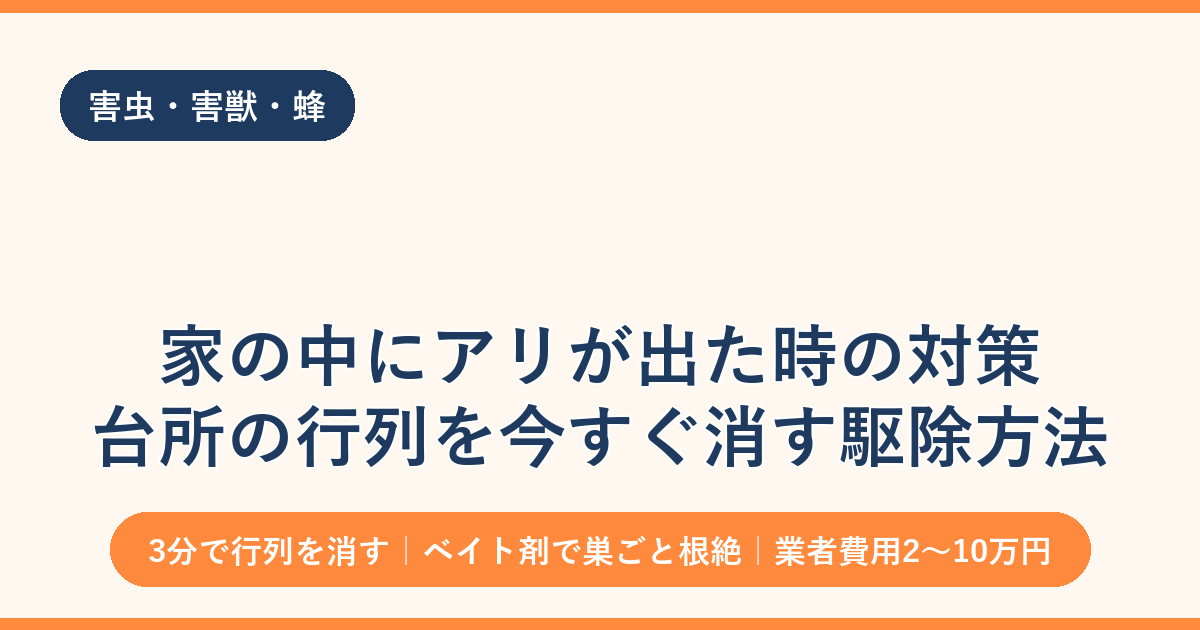 家の中にアリが出た時の対策