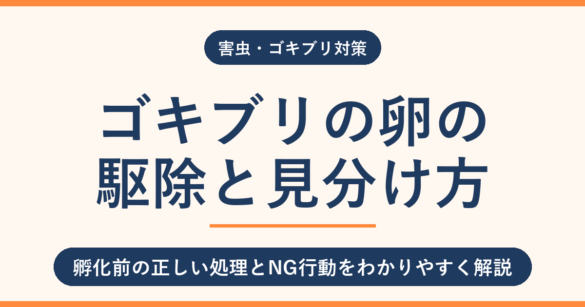 ゴキブリの卵の駆除と見分け方｜孵化前の正しい処理とNG行動