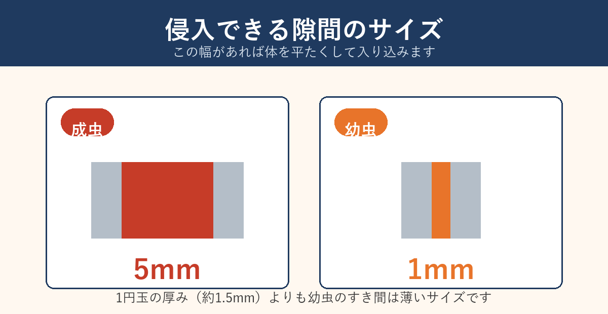 成虫5ミリと幼虫1ミリの隙間サイズ比較図