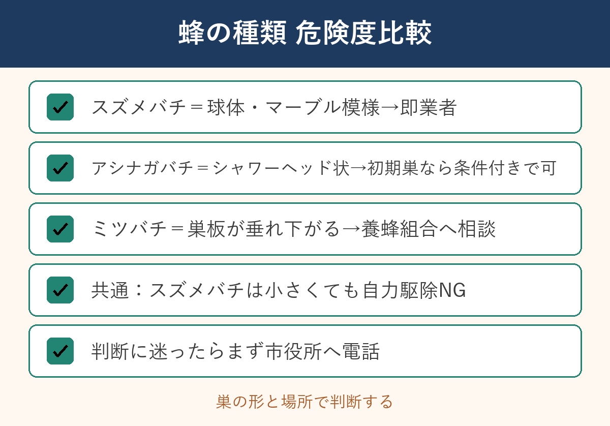 蜂の種類危険度比較